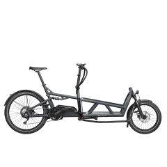 Riese & Müller Load 60 Touring TE