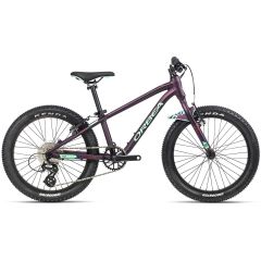 Orbea MX 20 Team