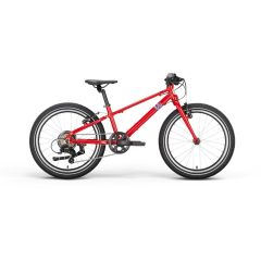 Vii Danni Diamant 20