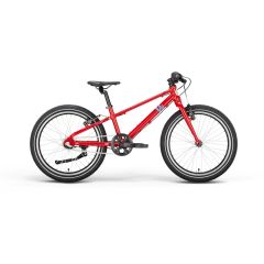 Vii Danni FL Diamant 20